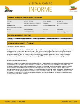 Agrotestigo-Maiz DEKALB-Campaña 1314-Informe Precosecha-LOVAY MONICA GONZALEZ-Nº 32