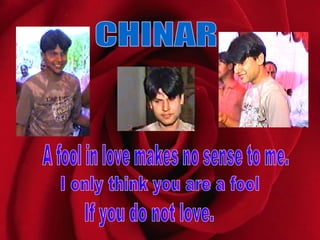CHINAR A fool in love makes no sense to me.  I only think you are a fool  If you do not love.  
