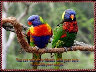 You can win more friends with your ears  than with your mouth. 