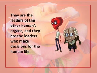 They are the
leaders of the
other human’s
organs, and they
are the leaders
who make
decisions for the
human life
 