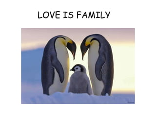 LOVE IS FAMILY
 