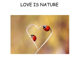 LOVE IS NATURE
 