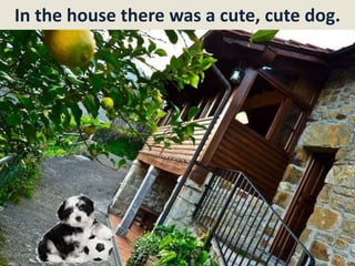 In the house there was a cute, cute dog.
 