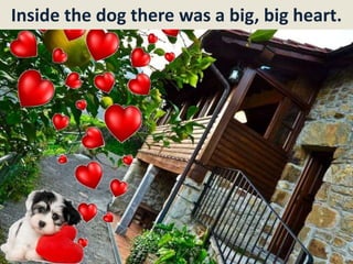 Inside the dog there was a big, big heart.
 