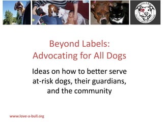 www.love-a-bull.org
Beyond Labels:
Advocating for All Dogs
Ideas on how to better serve
at-risk dogs, their guardians,
and the community
 