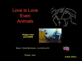 Love is Love Even Animals Ashok eitkan Photos:  from Music:  Ennio Morricone – Le Vent Le Cri Happy new year2008 