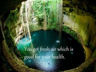 You get fresh air which is
good for your health.
 