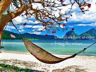 LOVE THE NATURE
One life we have so enjoy i
loving the nature.
 