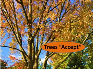 Trees “Accept”
 