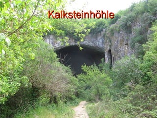 Kalksteinhöhle 