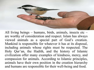 Love for Human being, Animal and Plant Life | PPTX