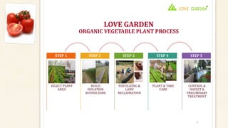 LOVE GARDEN
ORGANIC VEGETABLE PLANT PROCESS
SELECT PLANT
AREA
STEP 1
BUILD
ISOLATION
BUFFER ZONE
STEP 2
FERTILIZING &
LAND
RECLAIMATION
STEP 3
PLANT & TAKE
CARE
STEP 4
CONTROL &
HAVEST &
PRELIMINARY
TREATMENT
STEP 5
3
 
