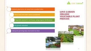 LOVE GARDEN
ORGANIC
VEGETABLE PLANT
PROCESS
4
Isolated plant area, far away from crowded cities
Clean land and water source (analyzed)
Vegetable planted in net house, using organic fertilization
No growth stimulant
Adequate growing days, harvested on time
 