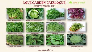 LEAFTY VEGETABLE
LOVE GARDEN CATALOGUE
Rau Xà lách (Watercress) Rau bắp cải (Chinese cabbage) Rau ngót (Sauropus) Rau dền (Amaranth)
Mùng tơi (Ceylon spinach) Rau Ngót nhật Ngọn su su Rau muống (Convolvulus)
Cải bó xôi (field cabbage) Rau đay (Jute plant) Rau má (Centella) Súp lơ xanh (Broccoli)
5
And many others …
 