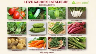 TUBERS & FRUITS
LOVE GARDEN CATALOGUE
Cà chua (Tomato) Bí đao (Winter melon) Quả su su (Chayote) Củ cải trắng (Turnip)
Củ su hào (Kohlrabi) Mướp đắng (Bitter melon) Dưa chuột (Cucumber)
Đậu cô ve (Peas)Củ cà rốt (carrot)
Củ khoai lang (Yam)
Ngô Bao tử (Corn)Khoai tây (Potato)
6
And many others …
 
