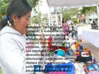 Actividad: Se dedican al
comercio, a la exportación de
artesanías, prendas de vestir y
artículos de cuero, también al
comercio interno de productos
agrícolas, alimentos y bebidas.
Los imbabureños se
caracterizan por su
laboriosidad, cada pueblo se
destaca por sus artesanías
particulares, tejidos, bordados y
esculturas de madera, todas
 