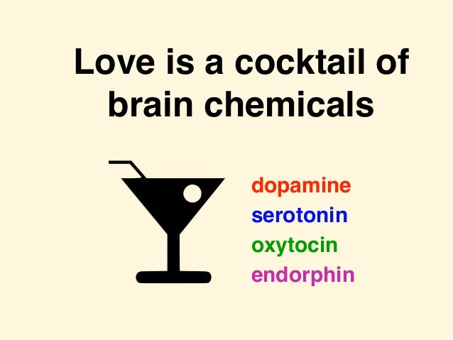 why-love-is-a-neurochemical-roller-coast