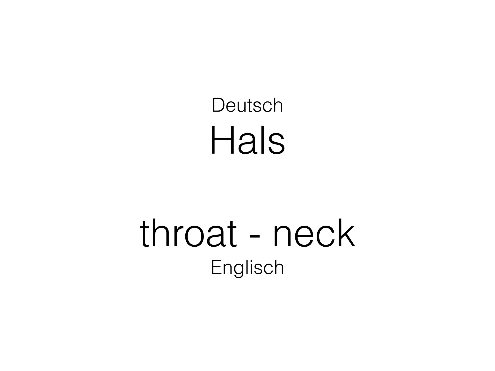 Deutsch
Hals
throat - neck
Englisch
 