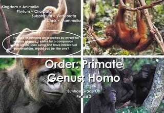 Order: Primate Genus: Homo Eunhae Grace Oh Pe ri od 2 Kingdom = Animalia  Phylum = Chordata  Subphylum = Vertebrata  Class = Mammalia I’m sick of swinging on branches by myself for millions of years. I’d love for a companion with whom I can swing and have intellectual conversations. Would you be  the one ? 