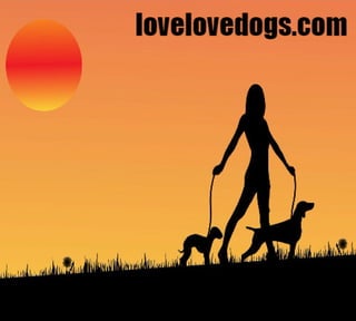 Love love dogs   everything about dog