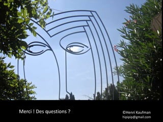 ©Henri Kaufman
hipipip@gmail.com
Merci ! Des questions ?
 