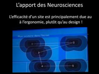 L’apport des Neurosciences
L’efficacité d’un site est principalement due au
à l’ergonomie, plutôt qu’au design !
 