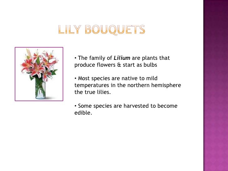 Lovely Lily Bouquets Facts and Information