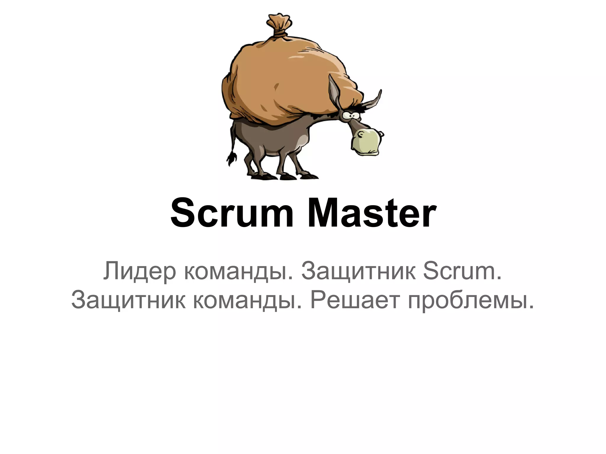 Scrum Master
  Лидер команды. Защитник Scrum.
Защитник команды. Решает проблемы.
 