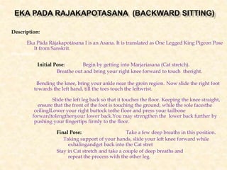 Description:
Eka Pāda Rājakapotāsana I is an Asana. It is translated as One Legged King Pigeon Pose
It from Sanskrit.
Proceduer:
Initial Pose: Begin by getting into Marjariasana (Cat stretch).
Breathe out and bring your right knee forward to touch theright.
Bending the knee, bring your ankle near the groin region. Now slide the right foot
towards the left hand, till the toes touch the leftwrist.
: Slide the left leg back so that it touches the floor. Keeping the knee straight,
ensure that the front of the foot is touching the ground, while the sole facesthe
ceilinglLower your right buttock tothe floor and press your tailbone
forwardtolengthenyour lower back.You may strengthen the lower back further by
pushing your fingertips firmly to the floor.
Final Pose: Take a few deep breaths in this position.
Taking support of your hands, slide your left knee forward while
exhalingandget back into the Cat stret
Stay in Cat stretch and take a couple of deep breaths and
repeat the process with the other leg.
 
