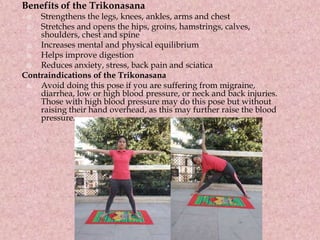 Benefits of the Trikonasana
 Strengthens the legs, knees, ankles, arms and chest
 Stretches and opens the hips, groins, hamstrings, calves,
shoulders, chest and spine
 Increases mental and physical equilibrium
 Helps improve digestion
 Reduces anxiety, stress, back pain and sciatica
Contraindications of the Trikonasana
 Avoid doing this pose if you are suffering from migraine,
diarrhea, low or high blood pressure, or neck and back injuries.
Those with high blood pressure may do this pose but without
raising their hand overhead, as this may further raise the blood
pressure.
 