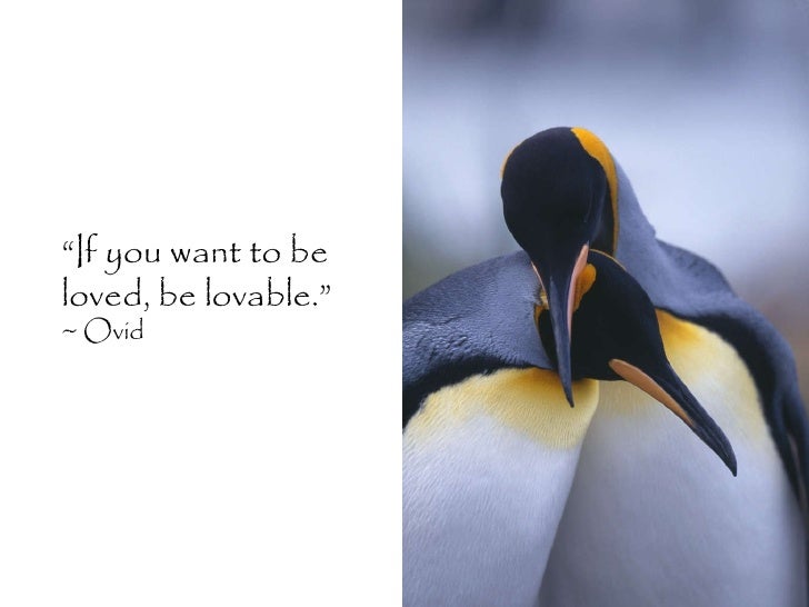 Love Quotes