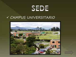  CAMPUS UNIVERSITARIO
 