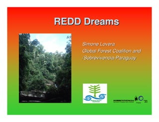 REDD Dreams

    Simone Lovera
    Global Forest Coalition and
    /Sobrevivencia-Paraguay
 