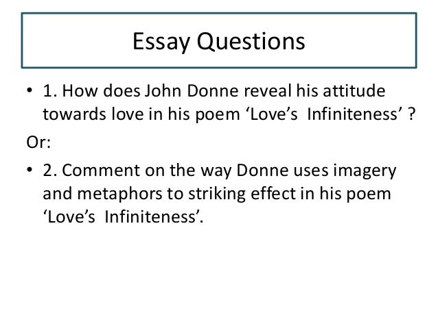 Essays on john donne's poetry