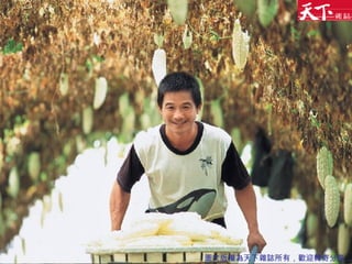 圖文版權為天下雜誌所有，歡迎轉寄分享 