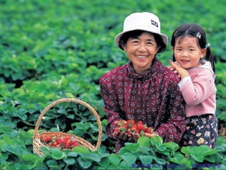 圖文版權為天下雜誌所有，歡迎轉寄分享 圖文版權為天下雜誌所有，歡迎轉寄分享 