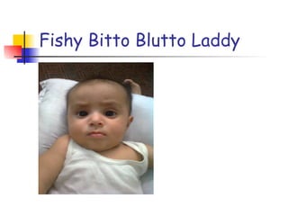 Fishy Bitto Blutto Laddy 