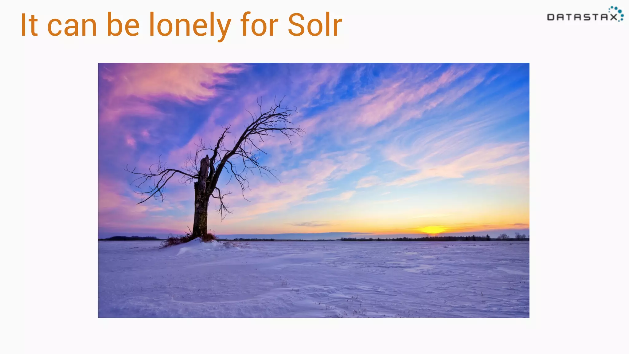 It can be lonely for Solr 
 