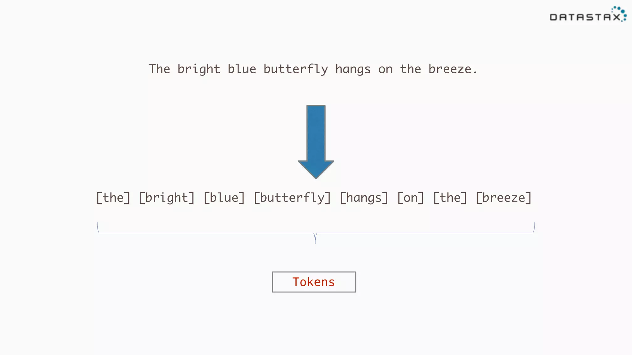 The bright blue butterfly hangs on the breeze.
[the] [bright] [blue] [butterfly] [hangs] [on] [the] [breeze]
Tokens
 