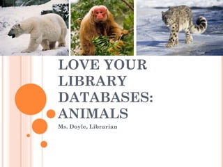 LOVE YOUR
LIBRARY
DATABASES:
ANIMALS
Ms. Doyle, Librarian
 