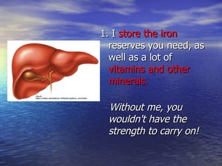 1. I  store the iron  reserves you need, as well as a lot of  vitamins and other minerals. Without me, you wouldn't have the strength to carry on! 