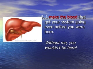 5. I  make the blood  that got your system going even before you were born. Without me, you wouldn't be here! 