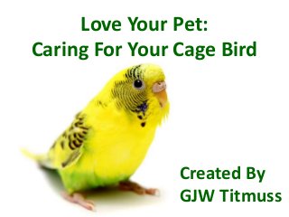 Love Your Pet:
Caring For Your Cage Bird

Created By
GJW Titmuss

 