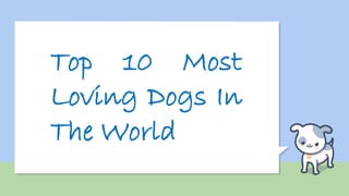Top 10 Most
Loving Dogs In
The World
 