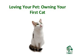 Loving Your Pet: Owning Your
First Cat

 