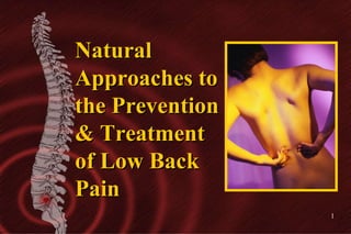 Natural Approaches to the Prevention & Treatment of Low Back Pain  