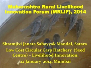 Maharashtra Rural Livelihood
Innovation Forum (MRLIF), 2014
Shramjivi Janata Sahayyak Mandal, Satara
Low Cost Circular Carp Hatchery (Seed
Centre) – Livelihood Innovation.
22 January 2014, Mumbai
 