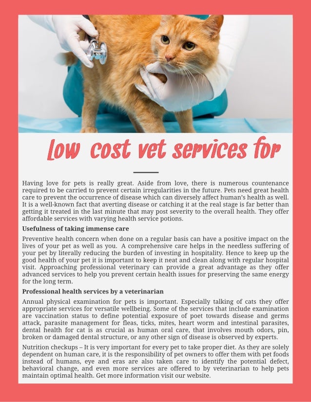 when do puppies stop eating their poop