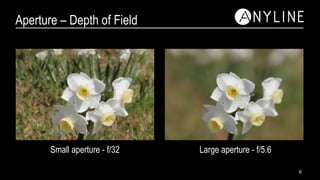 Aperture – Depth of Field
Small aperture - f/32 Large aperture - f/5.6
6
 