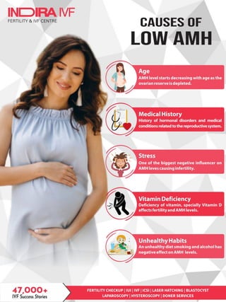 Low AMH : Causes, Symptoms and Treatment